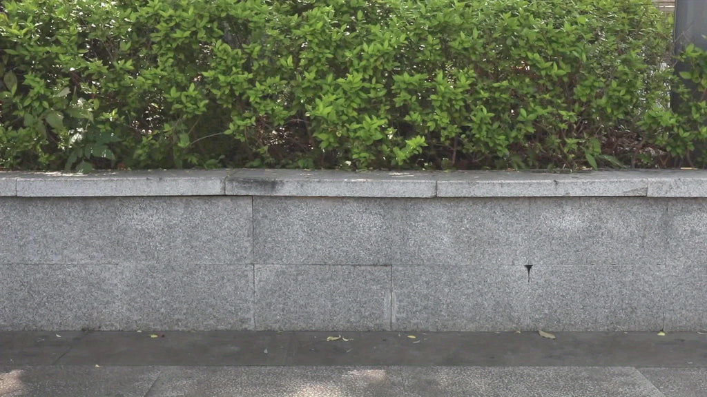 2 PCS Collapsible Bucket With Handle 10L (2.6 Gallon) Portable Water Bucket, Outdoor Multiuse Foldable Water Pail For Car Window Cleaning, Camping, Washing Dishes, Picnic, Fishing