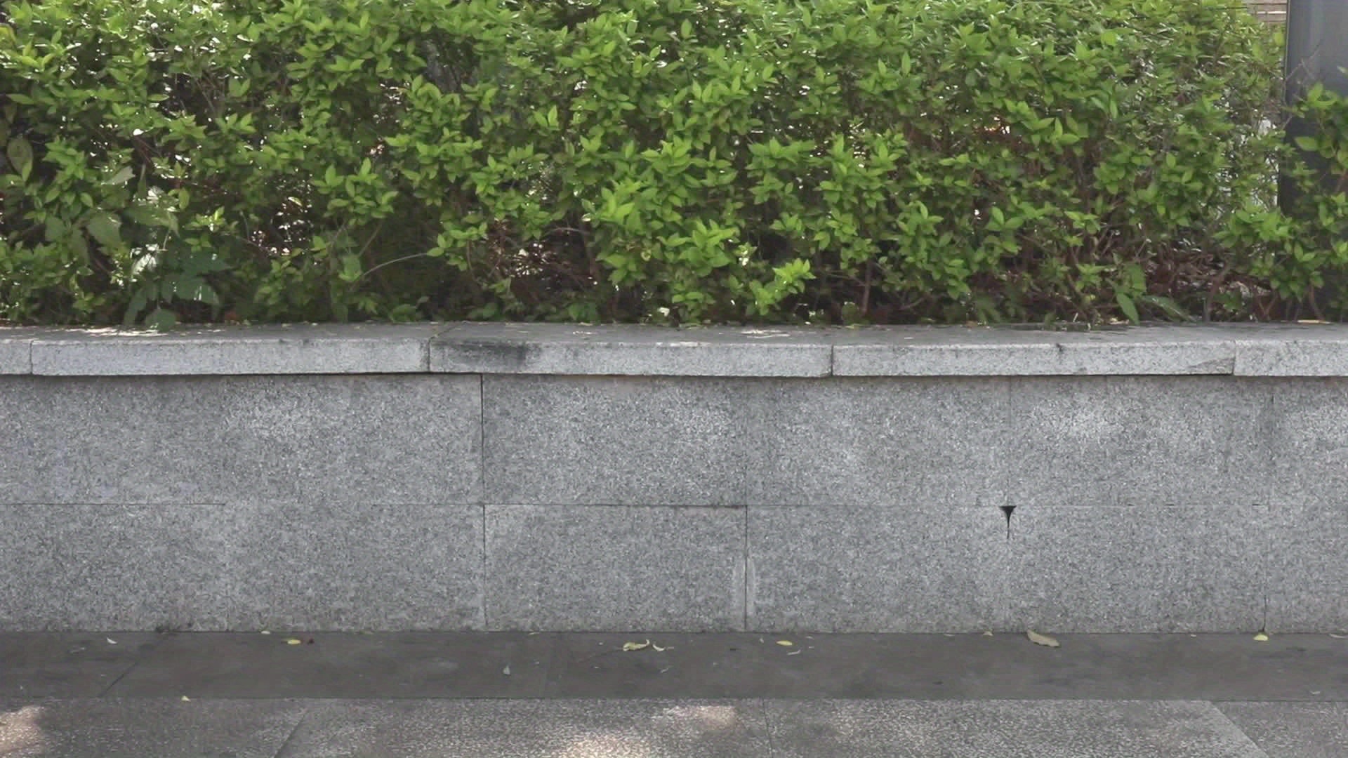 2 PCS Collapsible Bucket With Handle 10L (2.6 Gallon) Portable Water Bucket, Outdoor Multiuse Foldable Water Pail For Car Window Cleaning, Camping, Washing Dishes, Picnic, Fishing